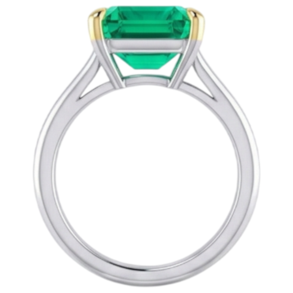 Anello con Pietra Preziosa Oro Bicolore 14K con Smeraldo – vista angolare