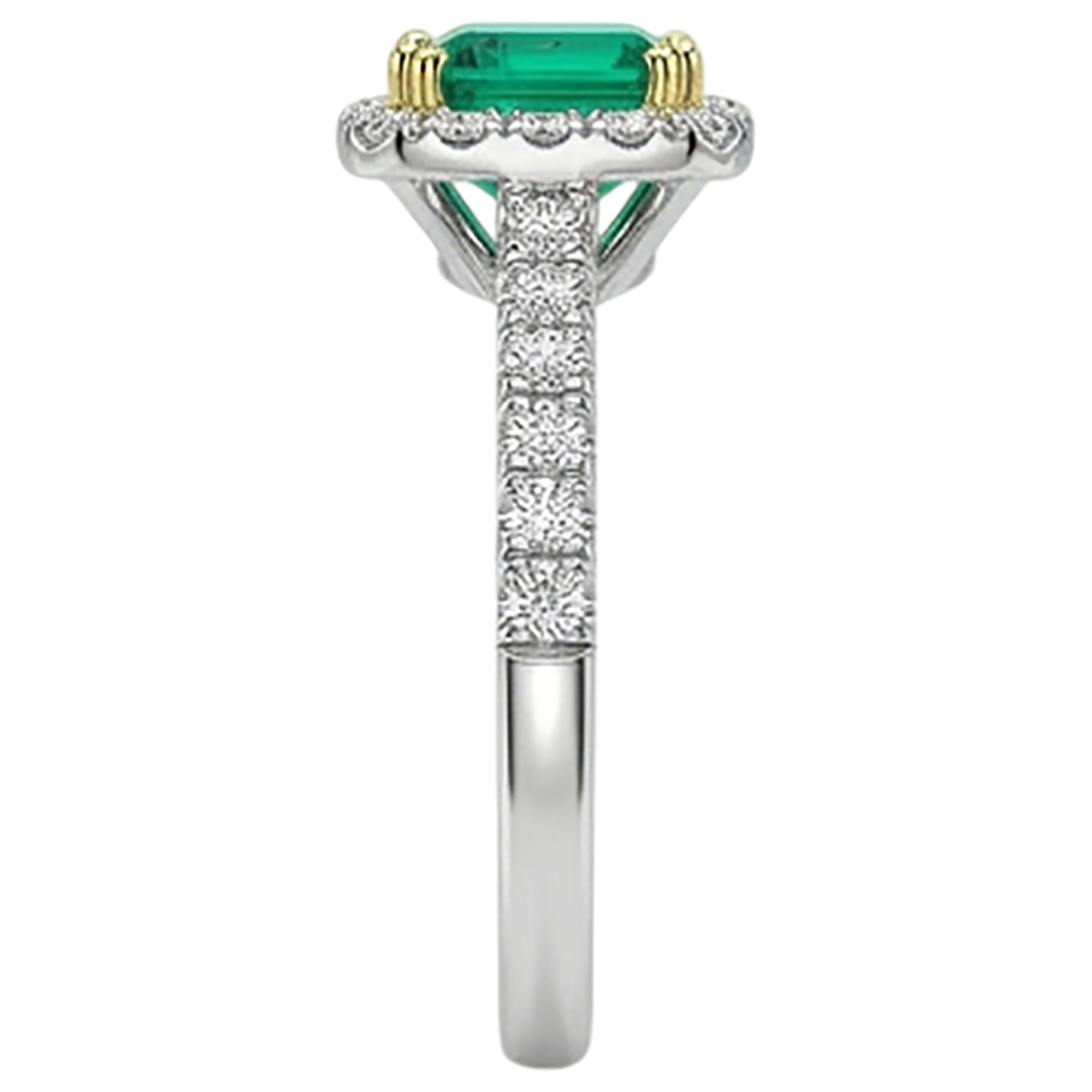 Anello con Pietra Preziosa Oro 14 Carati Bicolore con Smeraldo – vista posteriore
